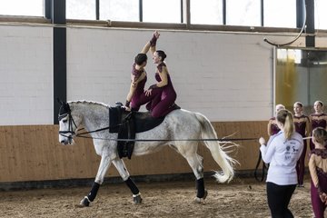Bild 740 - Voltigierturnier